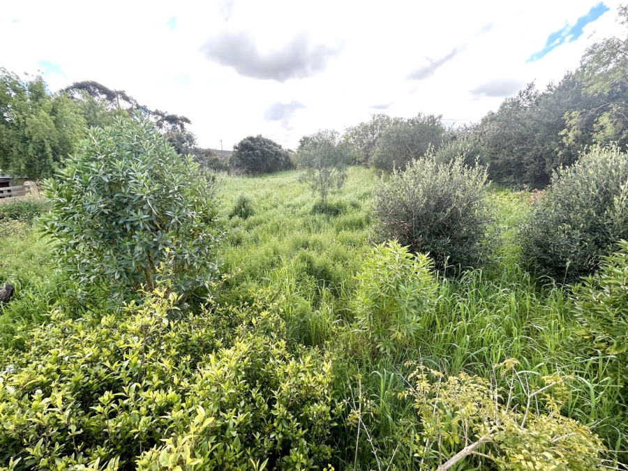 0 Bedroom Property for Sale in Napier Western Cape